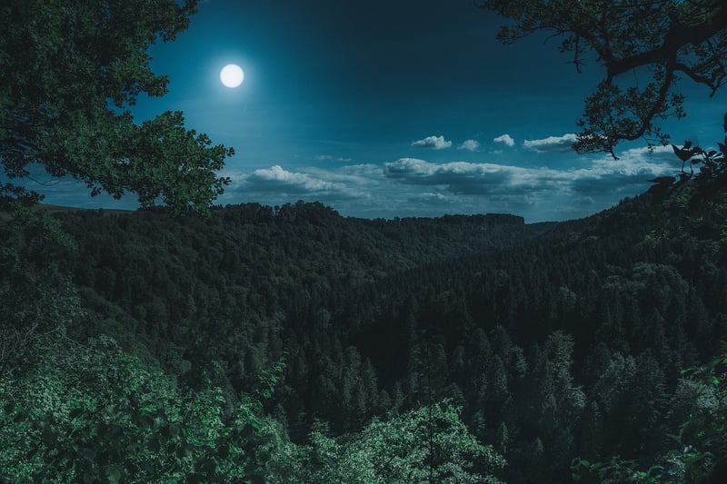 Full Moon Delights